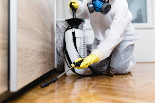 Best Local Pest Control Services  in Jericho, NY