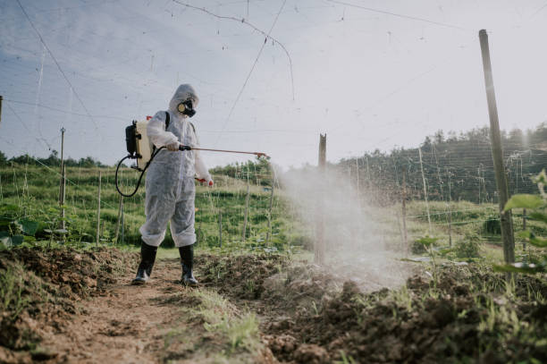 Best Local Pest Control Services  in Jericho, NY