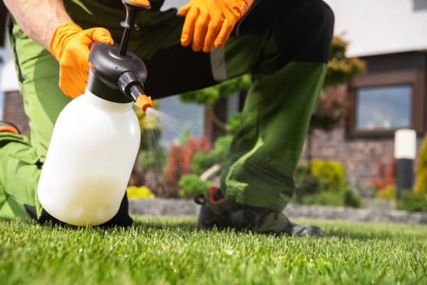 Best Rat Extermination Near Me  in Jericho, NY