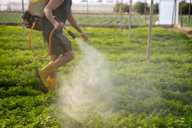 Best Best Pest Control Companies  in Jericho, NY