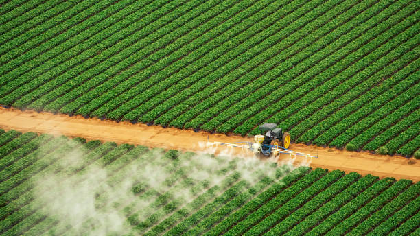 Best Pest Removal Services  in Jericho, NY