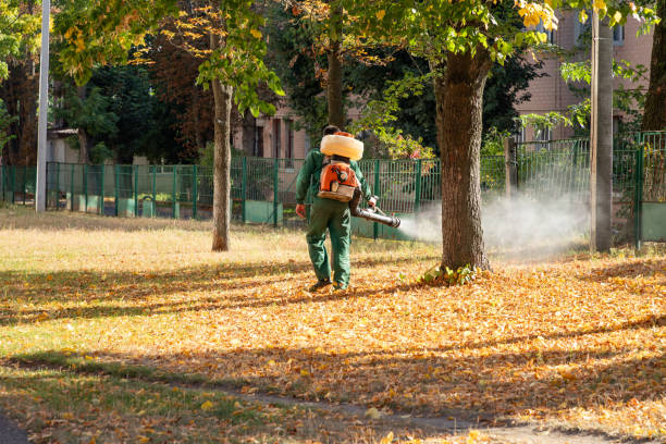 Best Bed Bug Extermination  in Jericho, NY