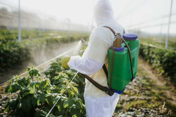 Best Local Pest Control Services  in Jericho, NY